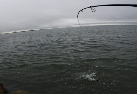 雨上がりの朝に